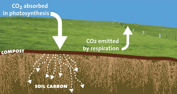 Du compost pour lutter contre le rechauffement climatique
