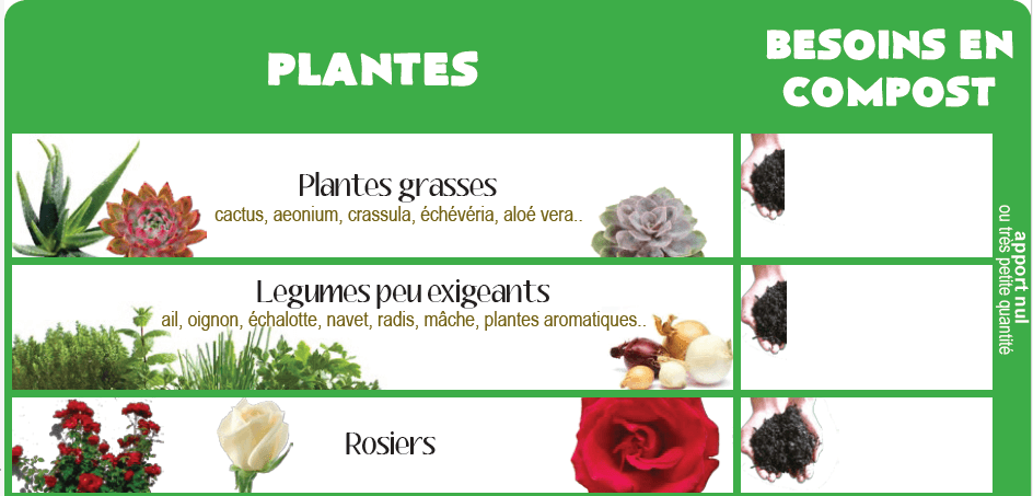 Infographie : Les besoins en compost des différentes plantes