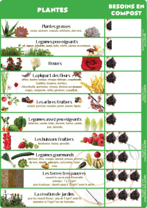 Infographie : Les besoins en compost de chaque plante – Trivial Compost